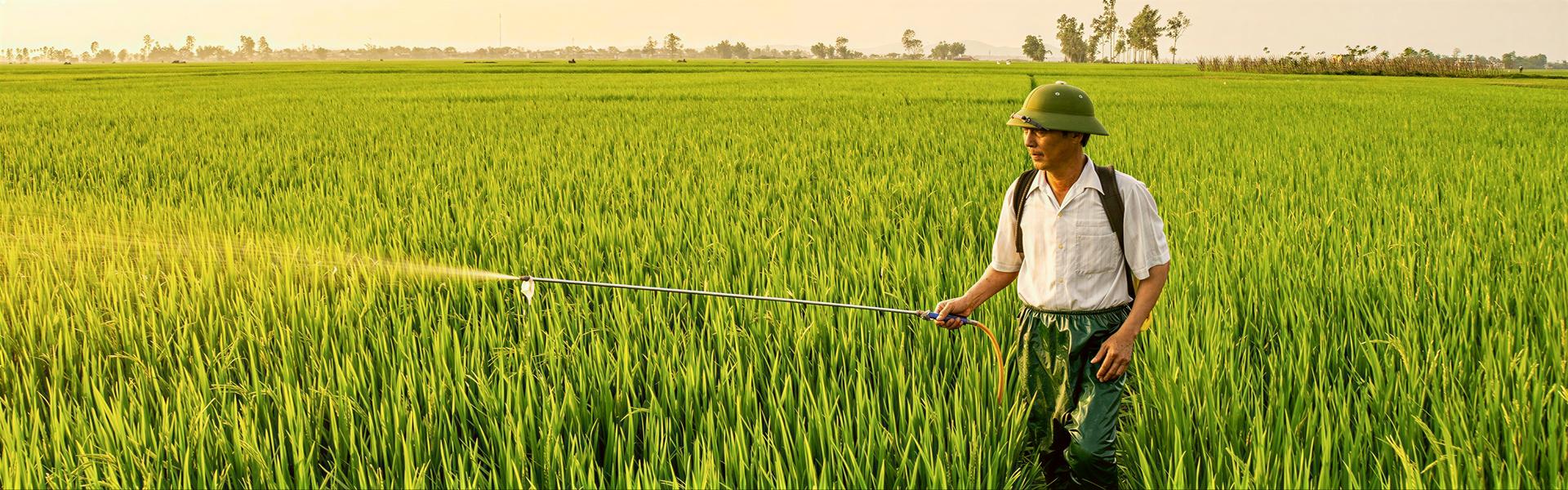 Argentina : Pueblos en Riesgo