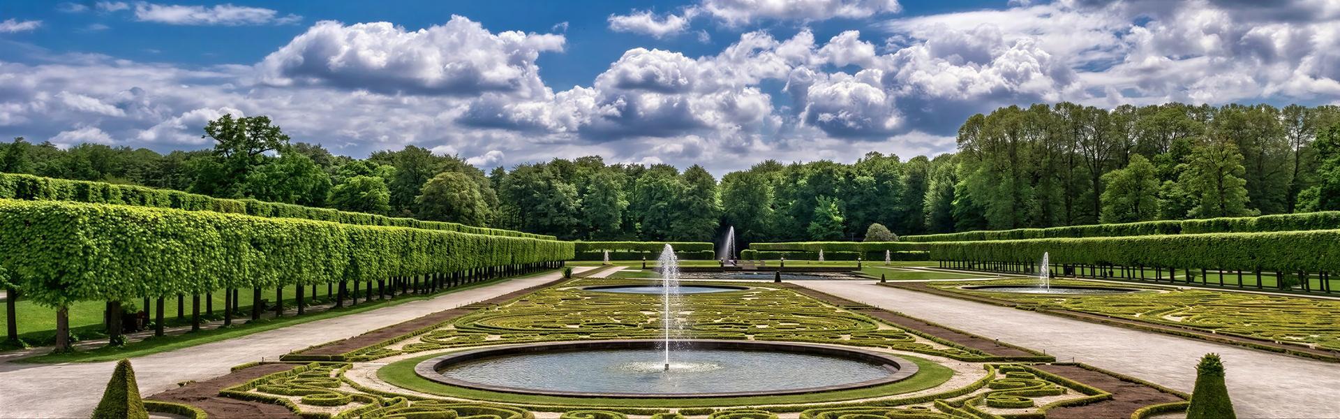 Plantas que le dan estructura al Jardín