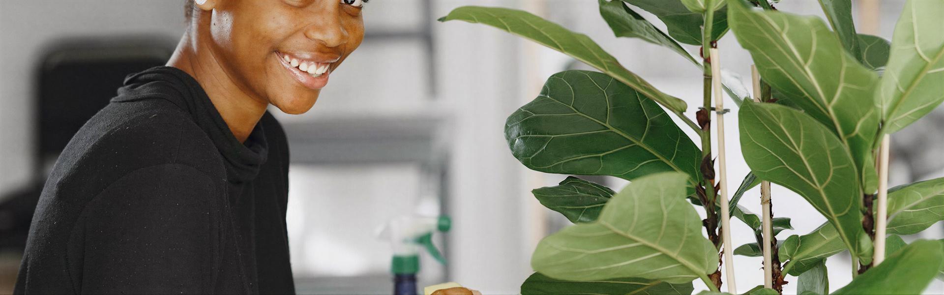 PLANTAS DE INTERIOR: LAS MAS FACILES DE CUIDAR