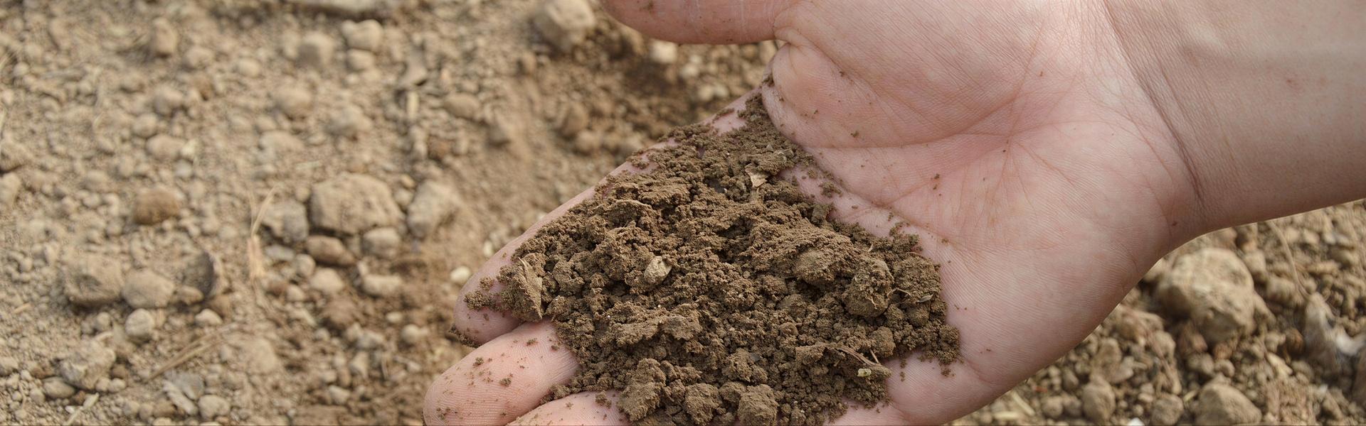 Insecticida y fertilizante orgánico: Tierra de Diatomeas