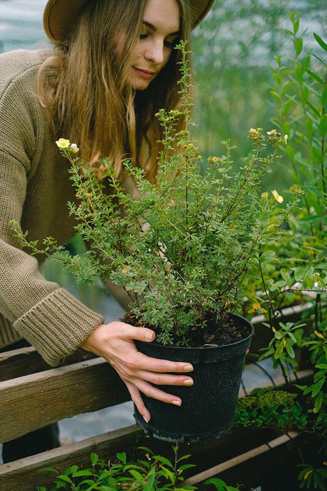 Productos Eco y Ambiente