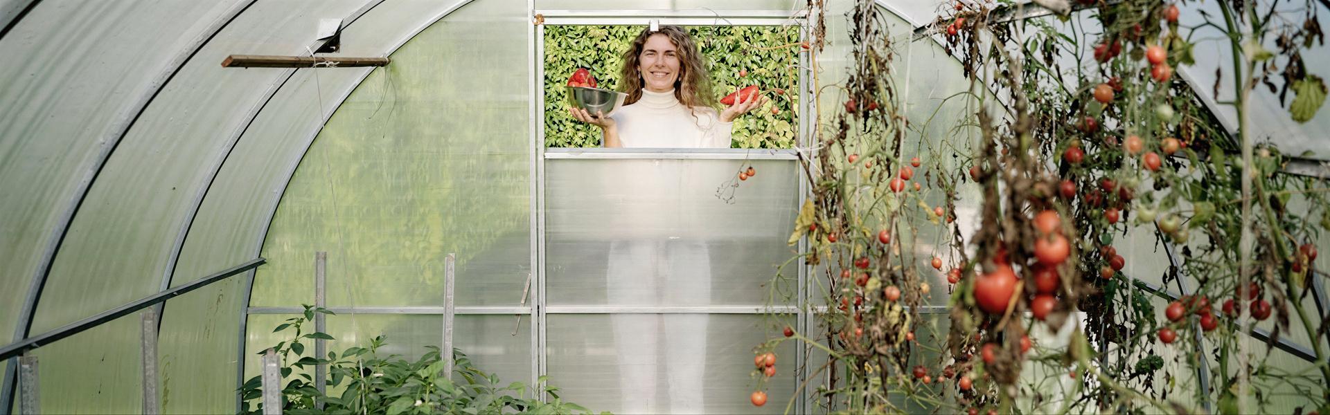 Cómo hacer un invernadero paso a paso para el jardín.